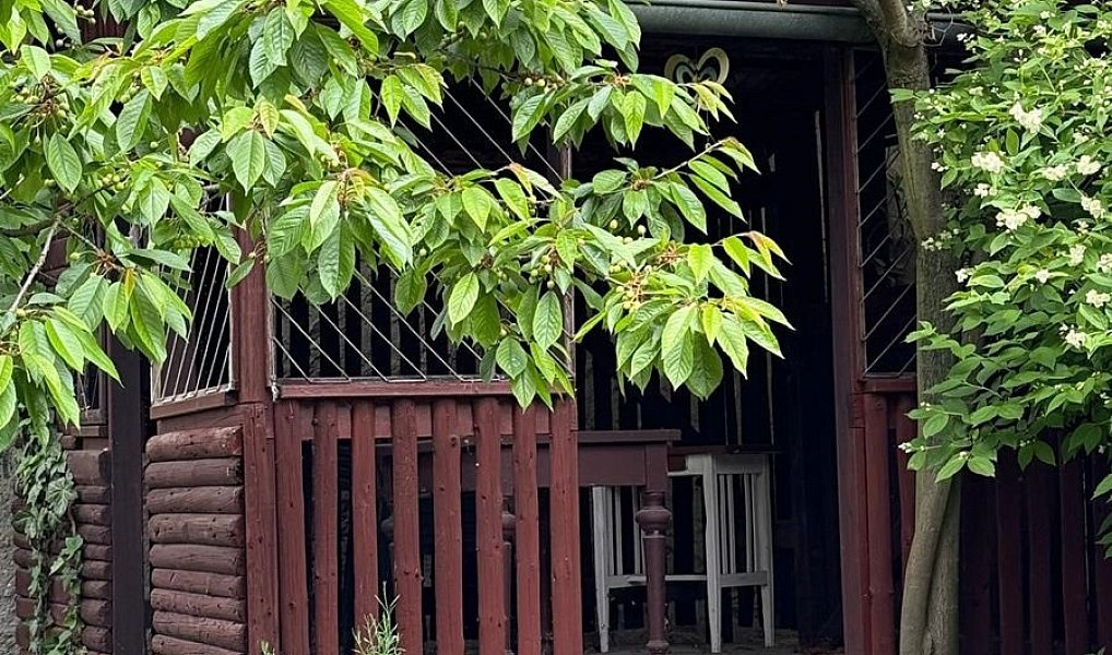 Prodej chaty/chalupy 120 m² s pozemkem 681 m², Netřebice – náhled fotky 5