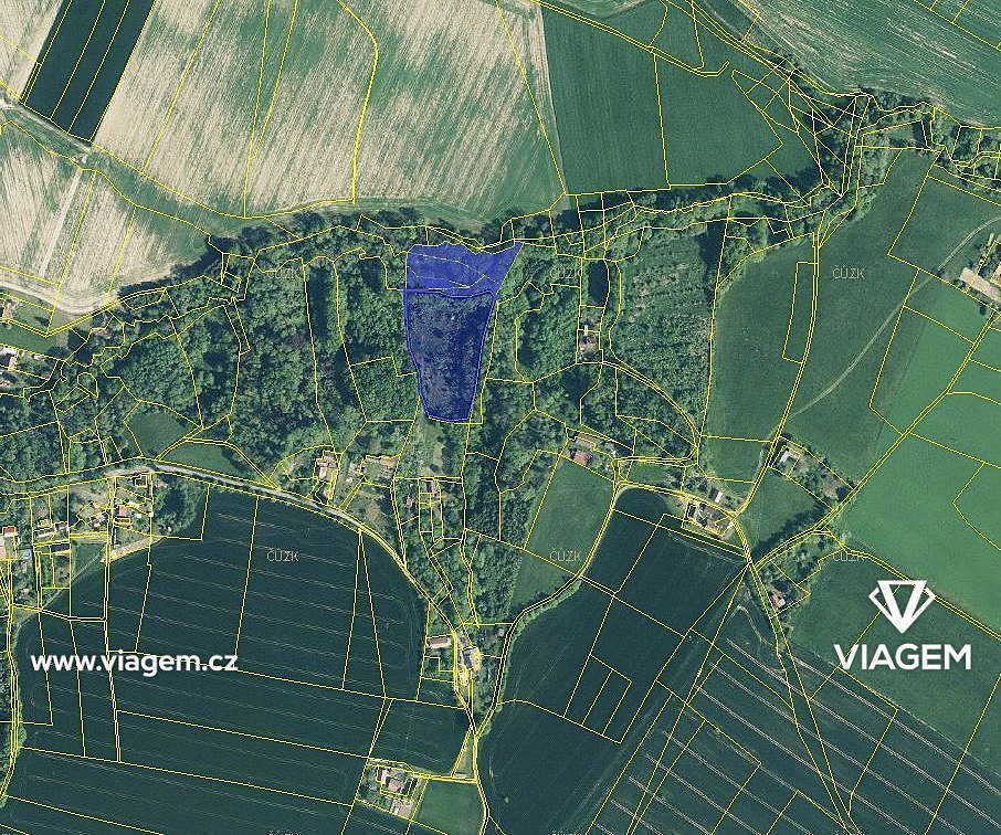 Prodej lesa 2 241 m² – fotografie 2
