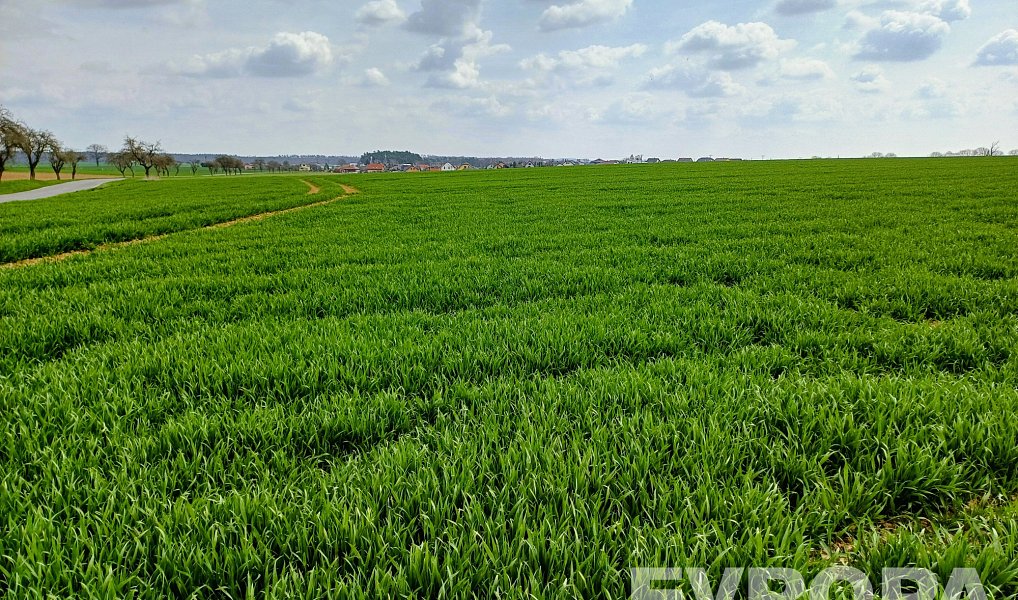 Prodej pole 27 281 m², Čistá – náhled fotky 9