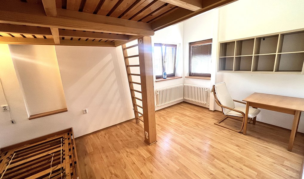Pronájem bytu 4+kk 111 m², Ivančice – náhled fotky 7