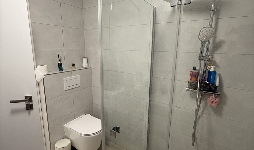 Pronájem bytu 1+kk 44 m², Hradec Králové – náhled fotky 9