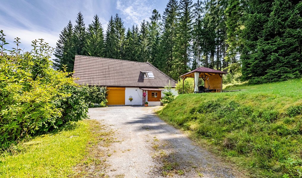 Prodej domu 303 m² s pozemkem 27 142 m², Frymburk – náhled fotky 42
