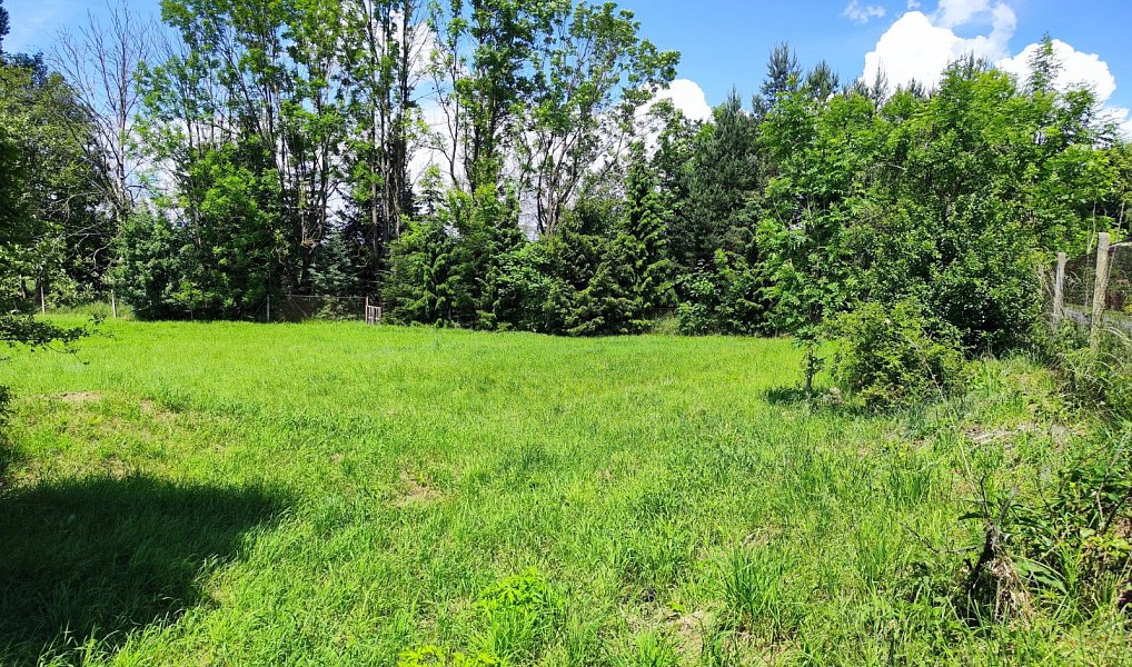 Prodej stavebního pozemku 1 655 m², Bílá Lhota – náhled fotky 10