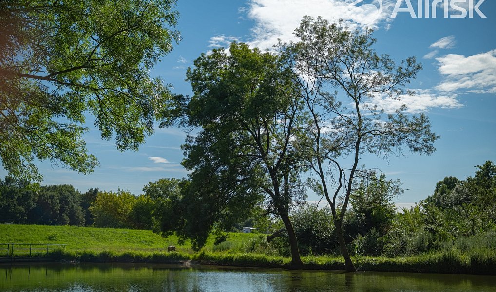 Prodej stavebního pozemku 776 m², Bulhary – náhled fotky 11