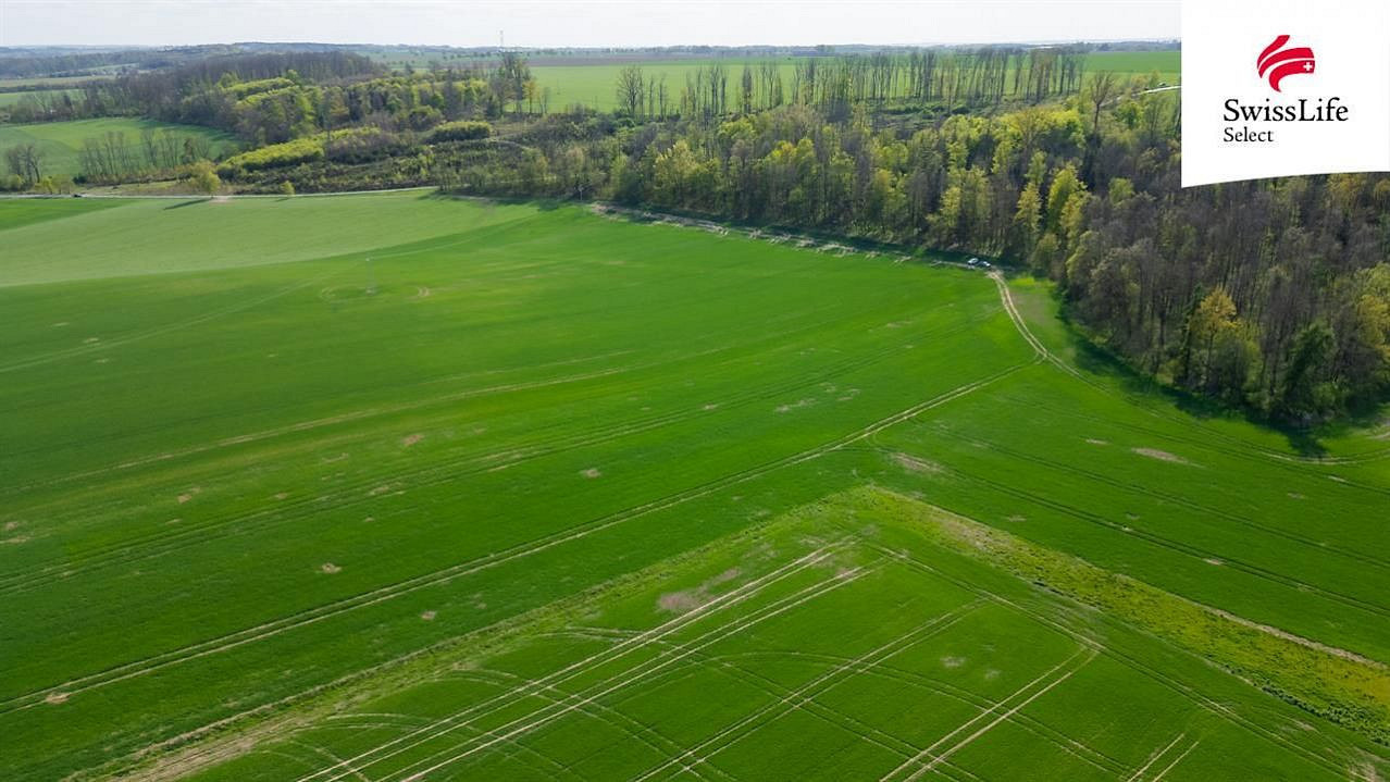 Prodej pole 18 365 m² – fotografie 2