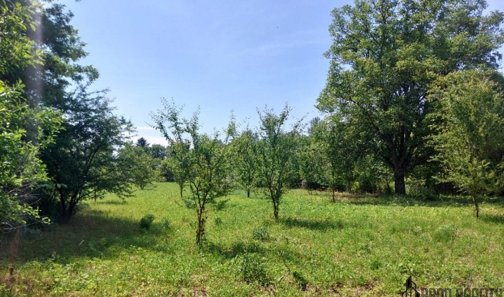 Prodej zahrady 4 845 m², Rajhrad – náhled fotky 8