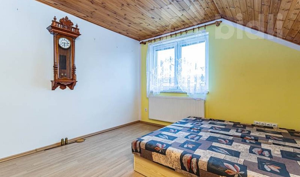 Prodej komerčního objektu (jiného typu) 302 m², Javorník – náhled fotky 40