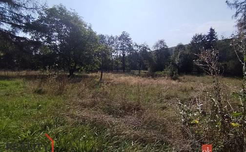 Prodej zahrady 2 433 m², Boleboř - Orasín, okres Chomutov