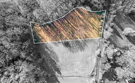 Prodej stavebního pozemku 4 332 m², Vlčtejn, okres Plzeň-Jih