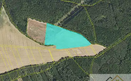 Prodej pole 67 146 m², Krušovice, okres Rakovník