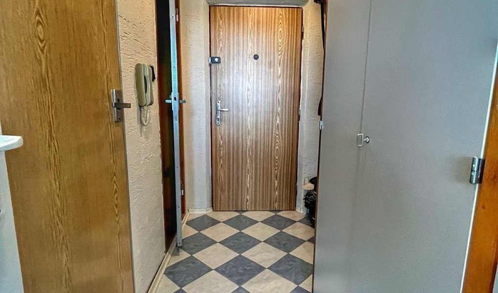 Pronájem bytu 1+1 39 m², Plzeň – náhled fotky 10