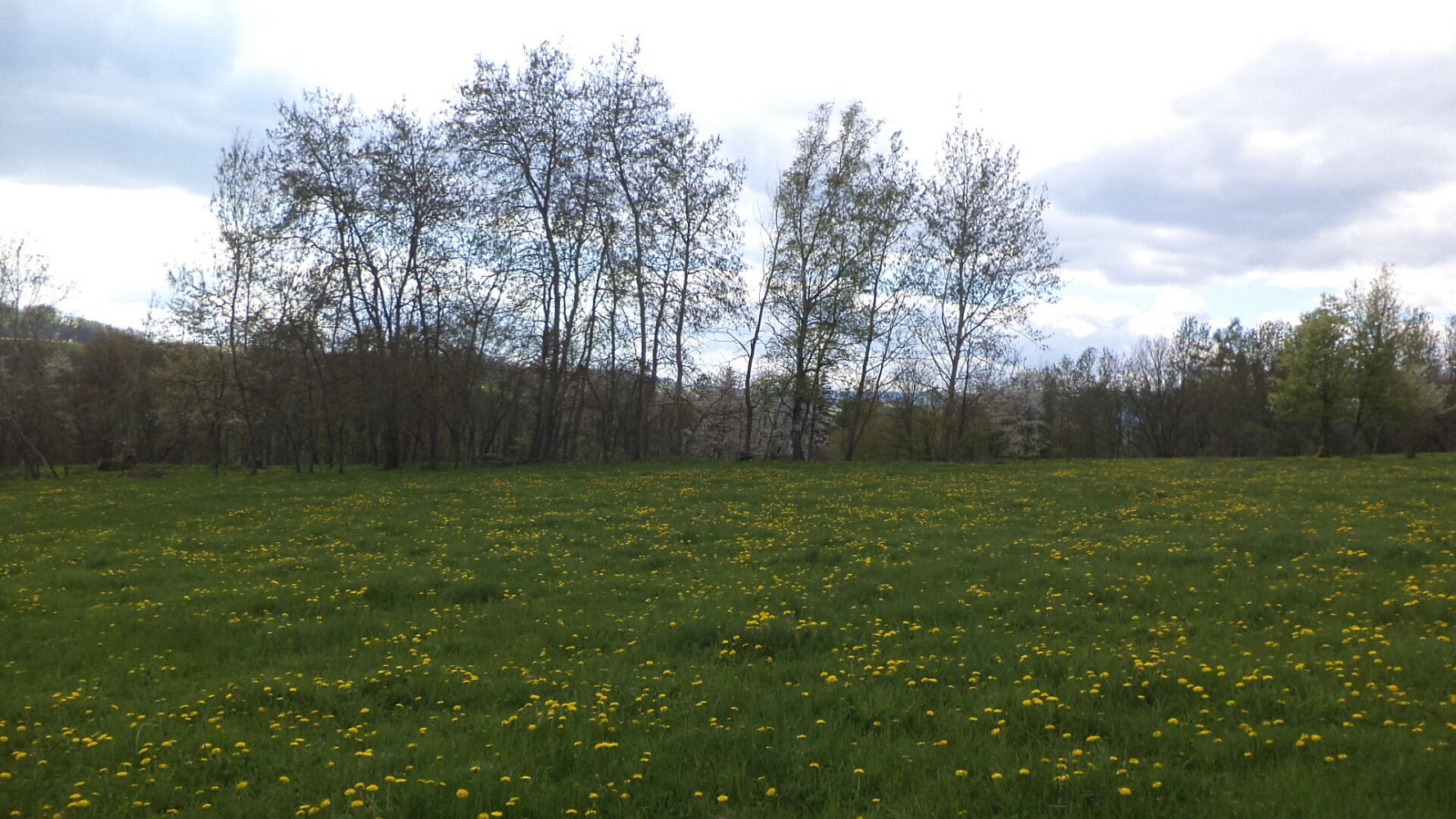 Prodej pozemku 10 063 m² – fotografie 3