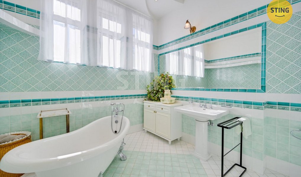 Prodej domu 700 m² s pozemkem 3 228 m², Luže – náhled fotky 26
