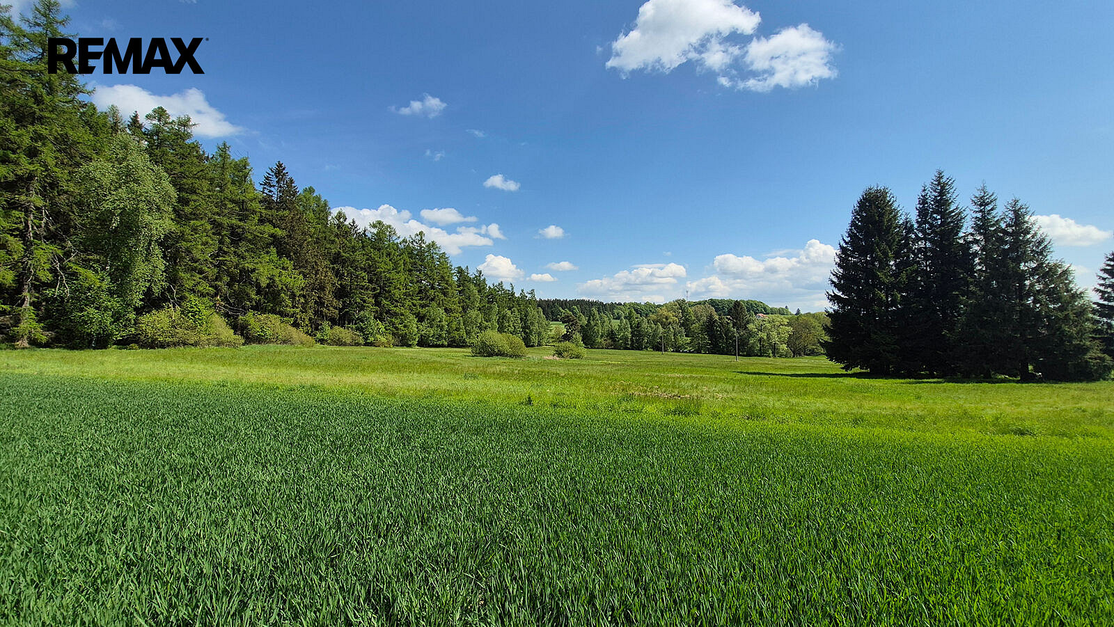 Prodej stavebního pozemku 5 776 m² – fotografie 4