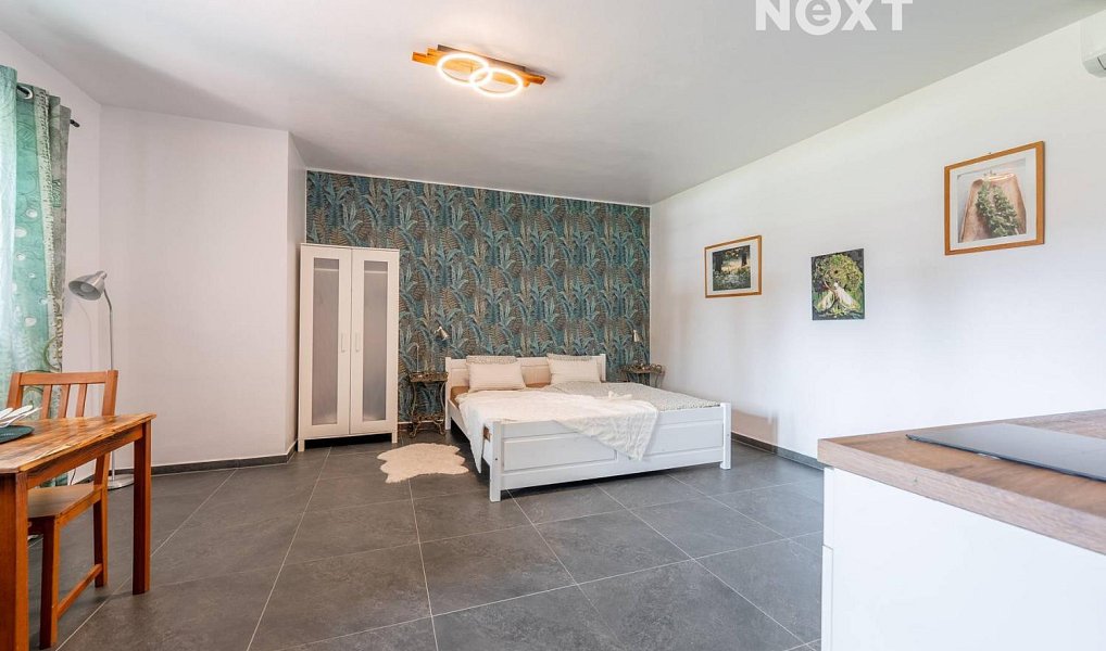 Prodej ubytovacího objektu 550 m², Všemyslice – náhled fotky 17