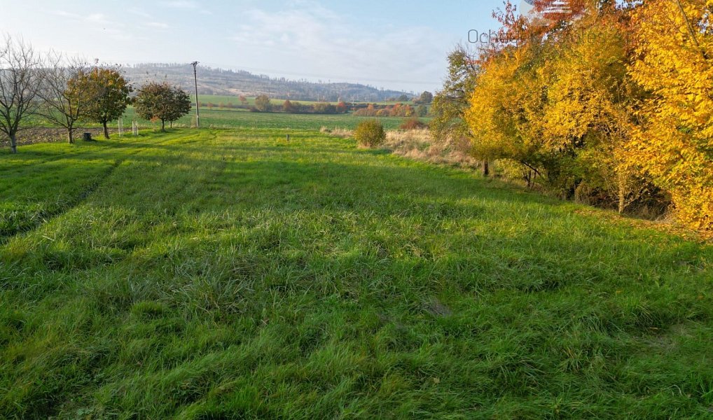 Prodej stavebního pozemku 1 030 m², Nová Hradečná – náhled fotky 7