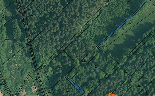 Prodej lesa 260 m², Zliv, okres České Budějovice