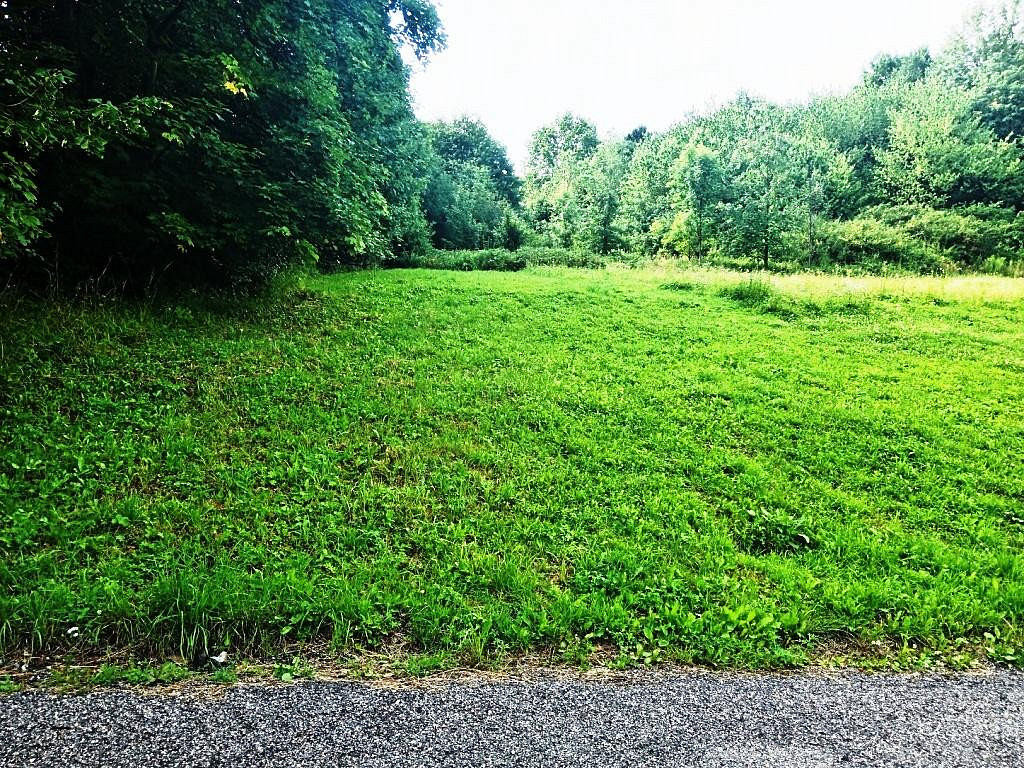 Prodej zahrady 3 200 m² – fotografie 3