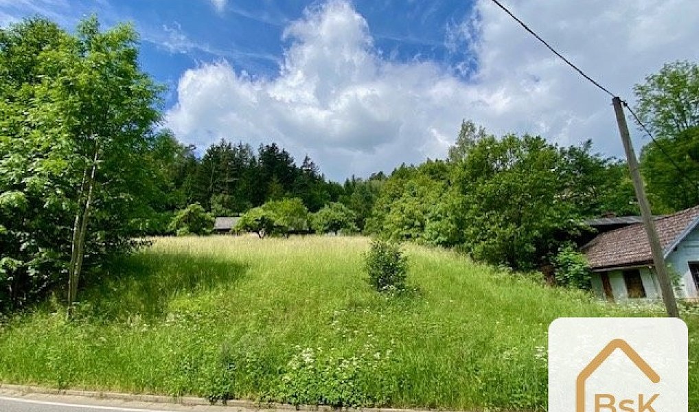 Prodej stavebního pozemku 2 434 m², Koberovy – náhled fotky 4