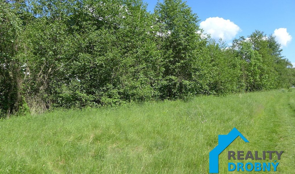 Pronájem zahrady 3 534 m², Malá Veleň – náhled fotky 10