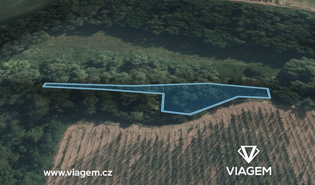 Prodej pole 1 165 m², Lipno – náhled fotky 2
