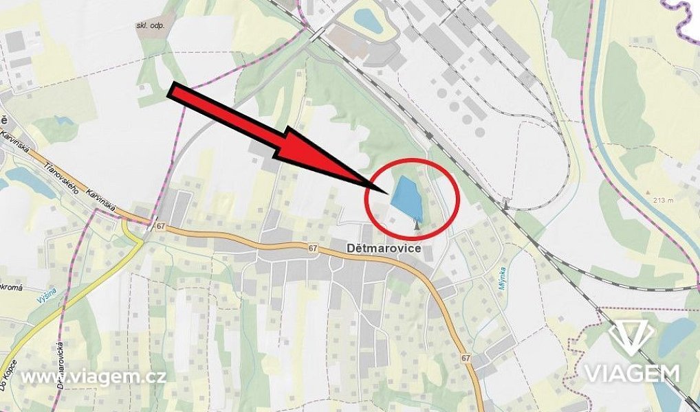 Prodej lesa 25 022 m², Dětmarovice – náhled fotky 6