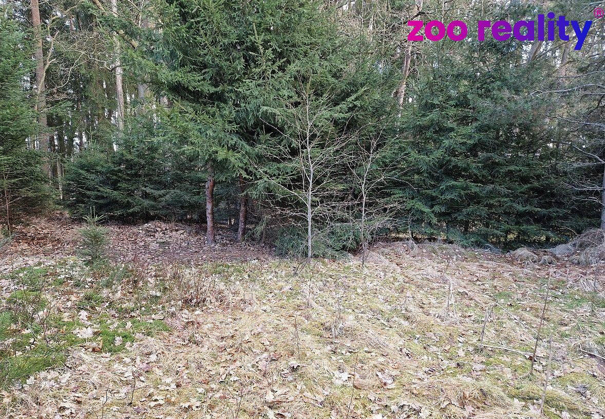 Prodej stavebního pozemku 665 m² — photo 4