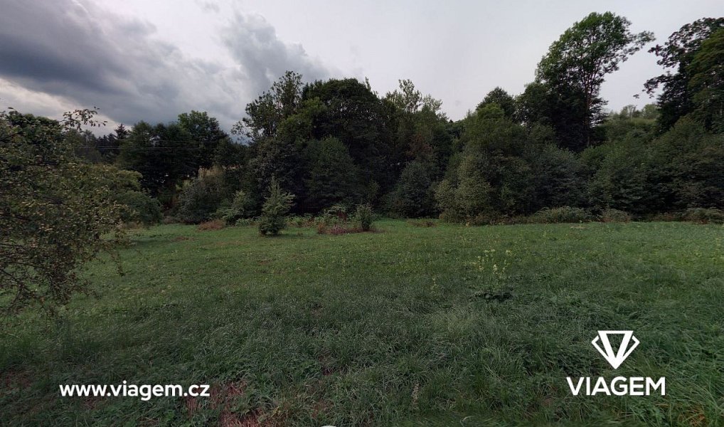 Prodej lesa 963 m², Zlatá Olešnice – náhled fotky 5