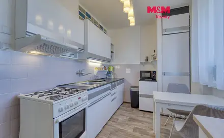 Pronájem bytu 2+1 56 m², Revoluční, Plzeň - Lobzy