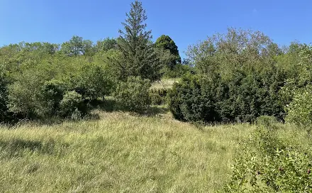 Prodej zahrady 2 559 m², Nová Ves, okres Mělník