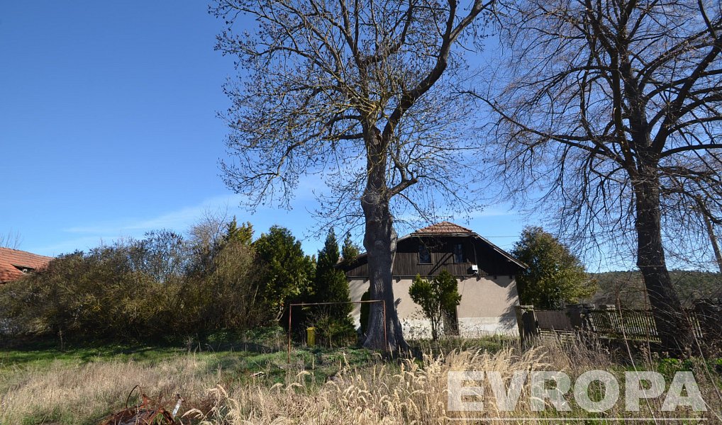 Prodej domu 780 m² s pozemkem 5 958 m², Dolní Hbity – náhled fotky 11