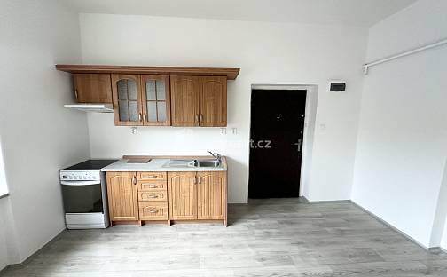 Pronájem bytu 1+1 53 m², Pražská, Bystřany - Světice, okres Teplice