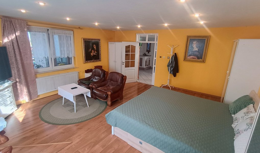 Prodej domu 268 m² s pozemkem 1 347 m², Plzeň – náhled fotky 14