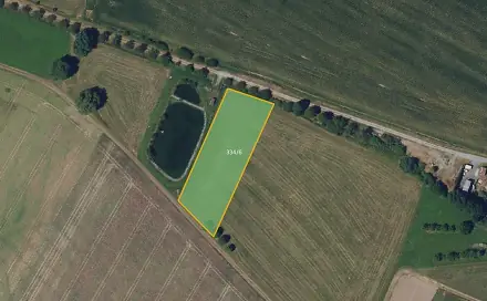 Prodej louky 3 819 m², Světlá, okres Blansko