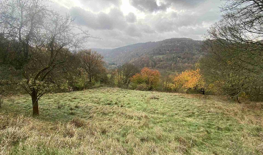 Prodej pozemku 4 431 m², Děčín – náhled fotky 5