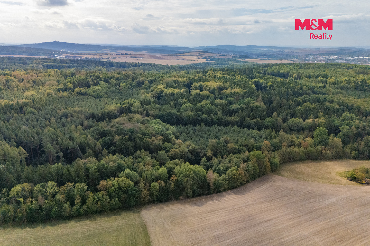 Prodej lesa 6 522 m² – fotografie 3