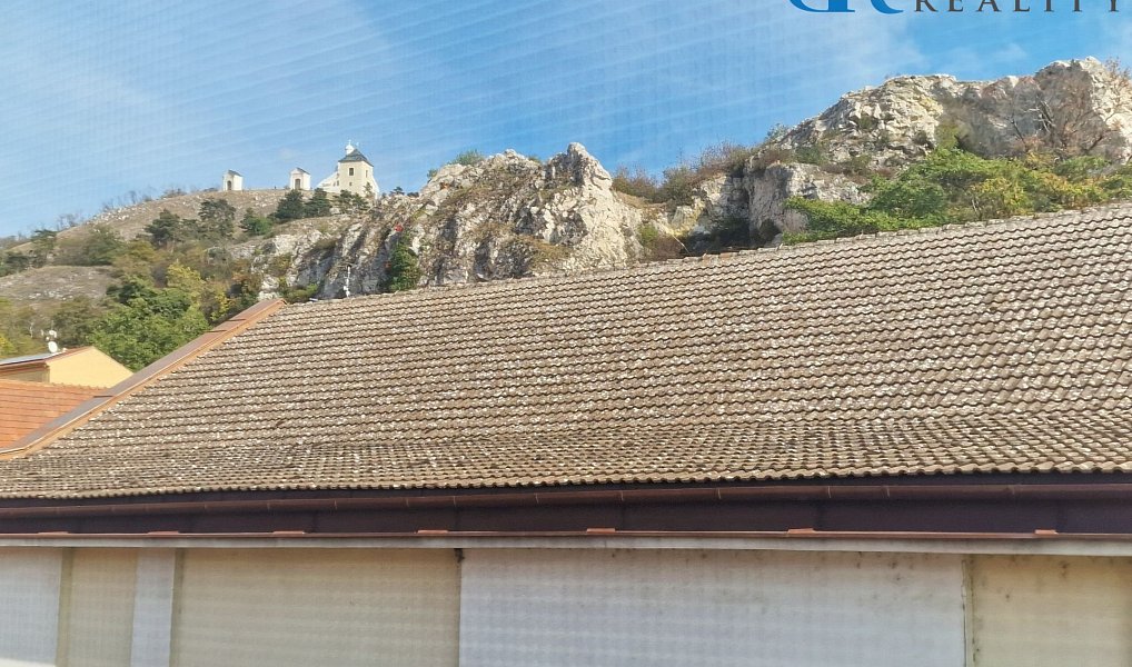 Ostatní