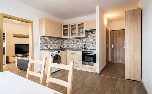 Prodej bytu 1+1 35 m², Ústí nad Labem