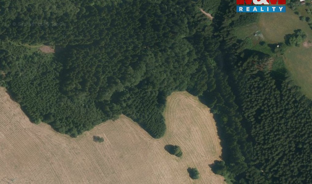 Prodej lesa 8 743 m², Valašská Senice – náhled fotky 3