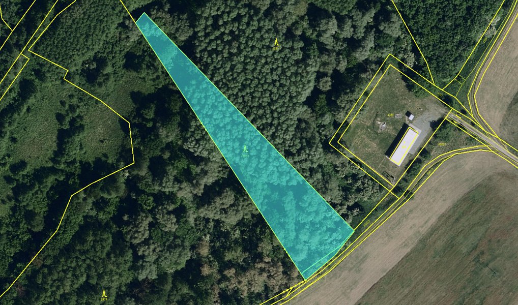 Prodej pozemku 5 068 m², Brod nad Dyjí – náhled fotky 5
