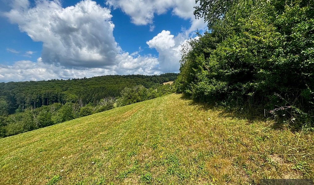 Prodej stavebního pozemku 6 433 m², Žítková – náhled fotky 3