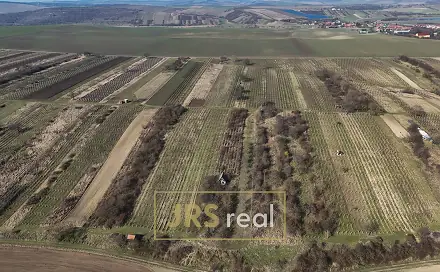Prodej pole 4 065 m², Brumovice, okres Břeclav
