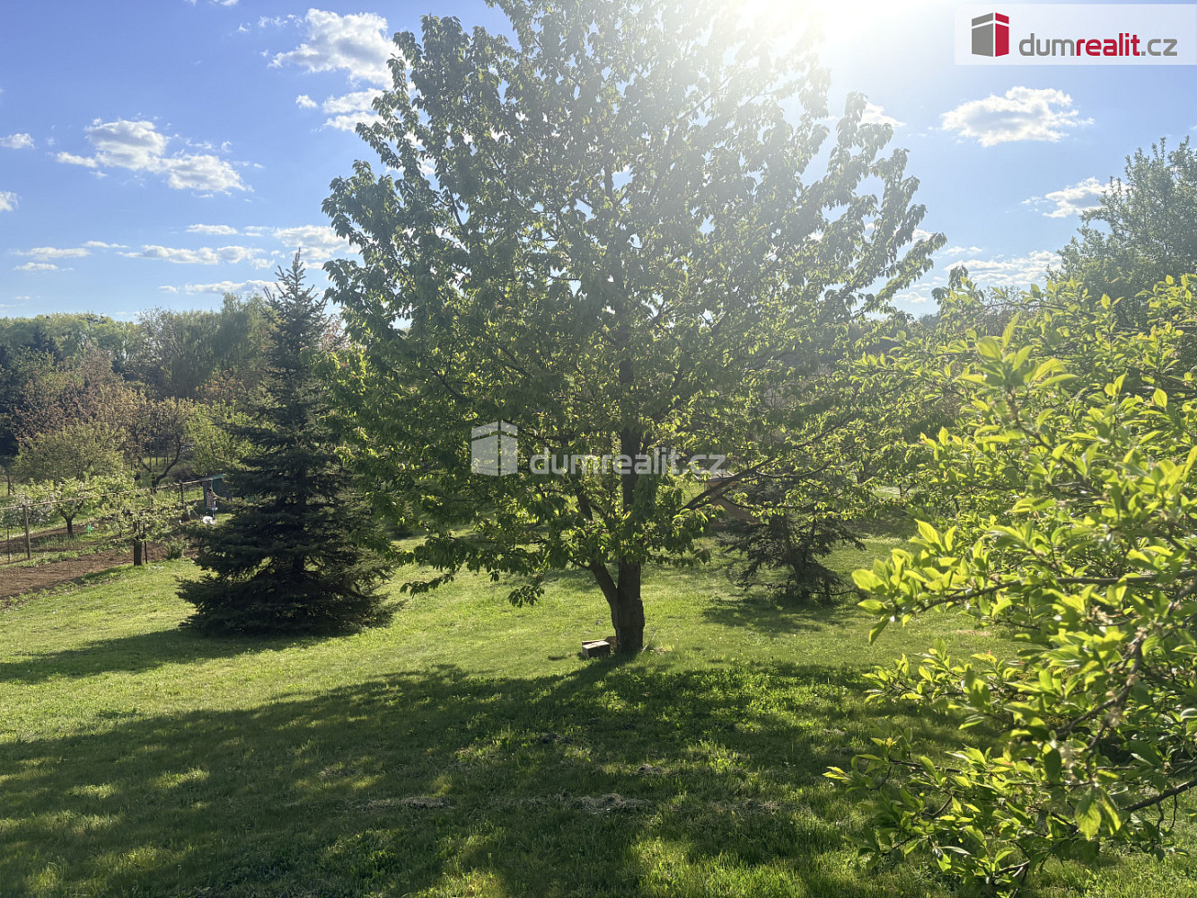 Prodej zahrady 888 m² — photo 5