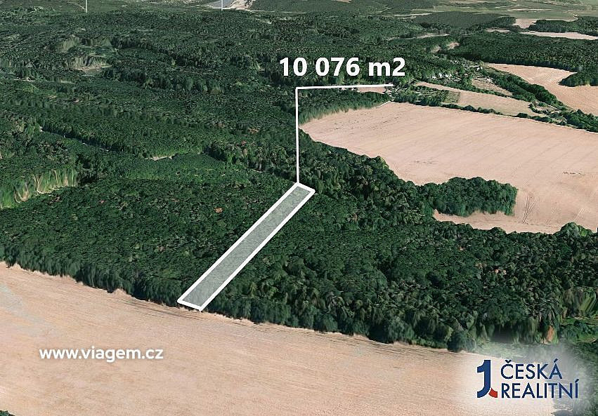 Prodej lesa 1 259 m² – fotografie 2