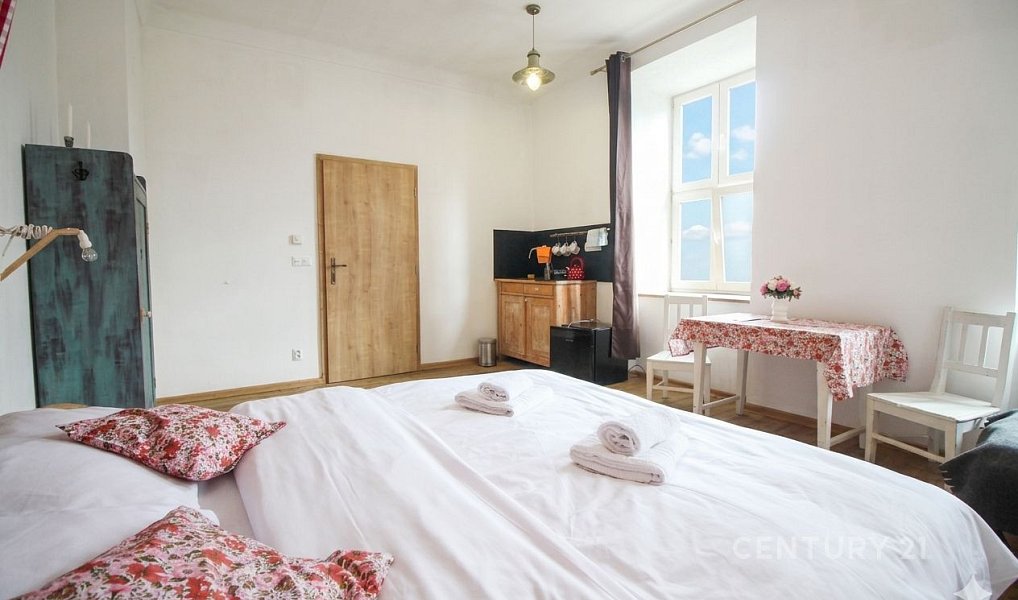 Prodej ubytovacího objektu 350 m², Červená Voda – náhled fotky 8