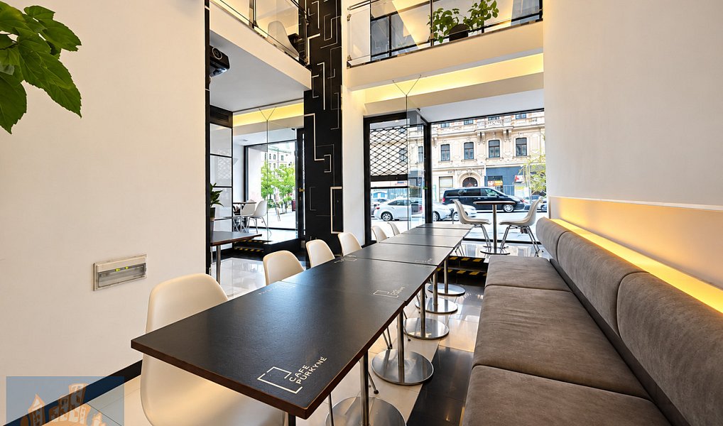 Pronájem obchodních prostor 145 m², Praha – náhled fotky 7