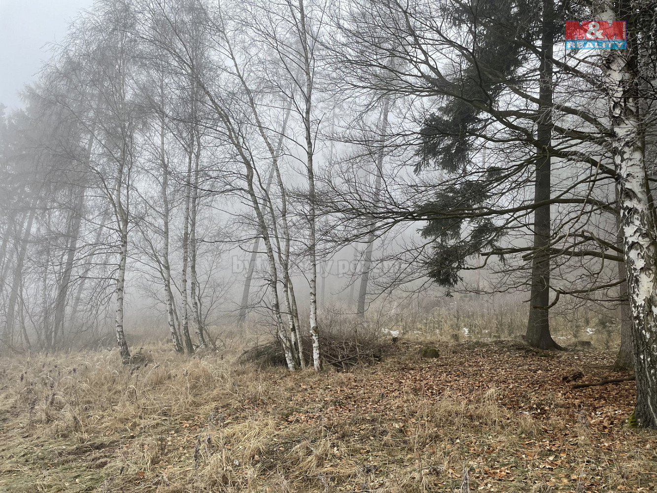 Prodej lesa 20 974 m² – fotografie 3