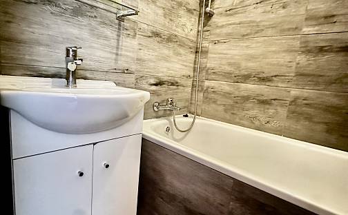 Pronájem bytu 2+1 55 m², Julia Fučíka, Most