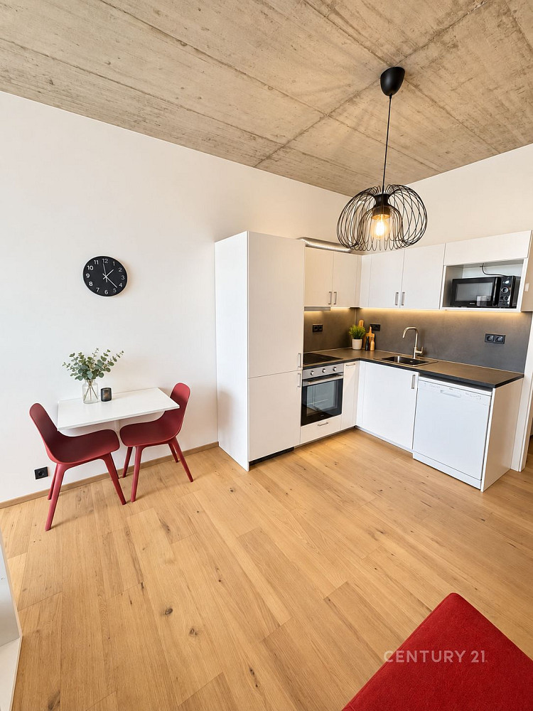 Pronájem bytu 1+kk 38 m² – fotografie 4
