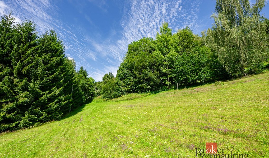 Prodej stavebního pozemku 7 018 m², Velké Hamry – náhled fotky 11